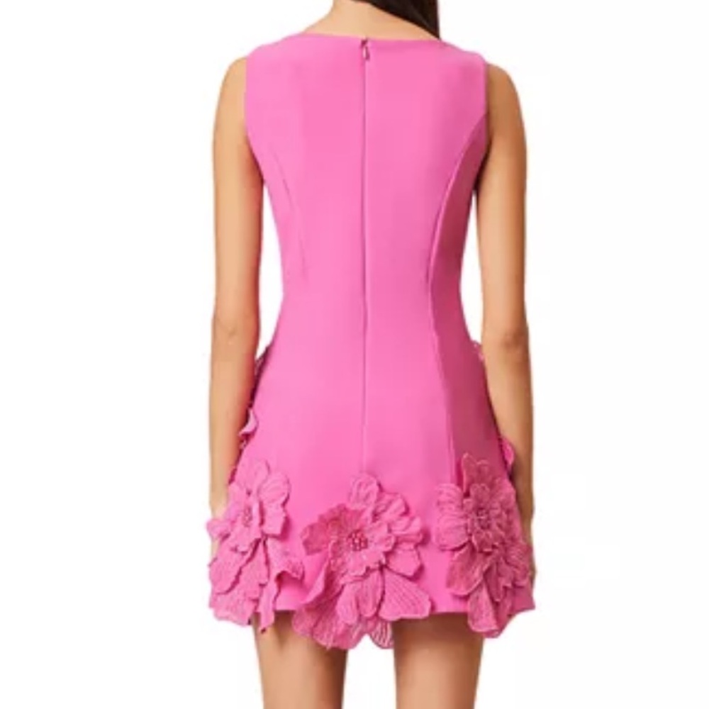 Elliatt Hot Pink Mini Dress with 3D Floral Appliqués - Picture 2 of 4